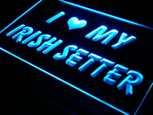 I Love My Irish Setter Dog Pet Neon Light Sign